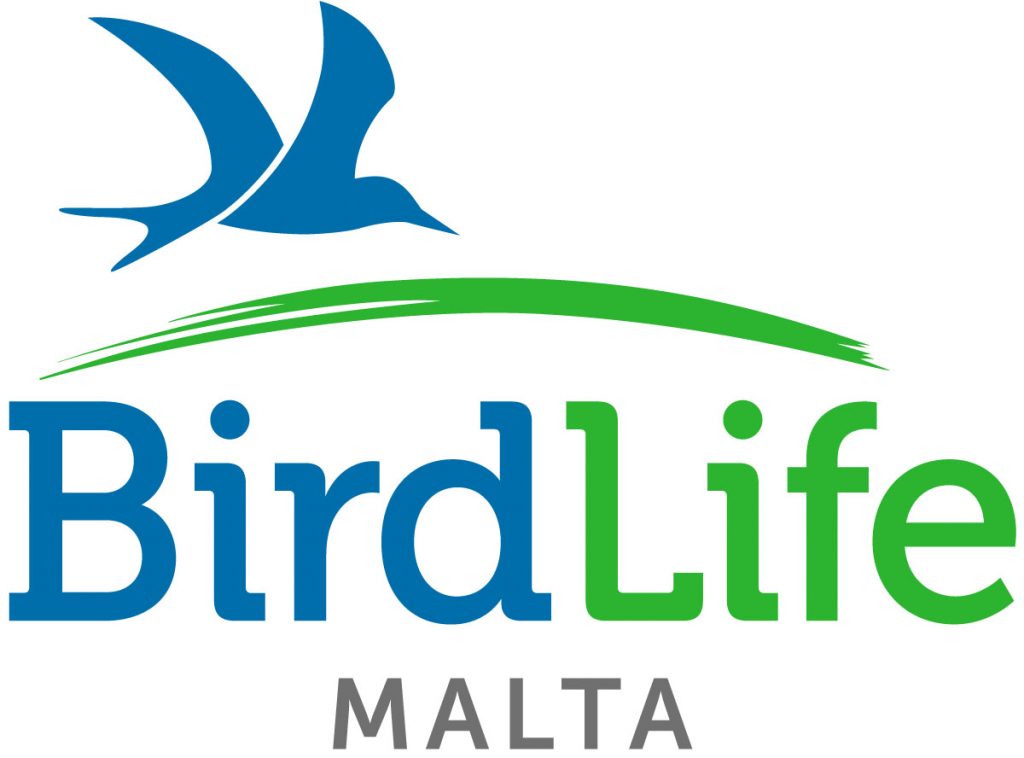 Birdlife Malta